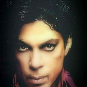 Meet your Posher, Terry